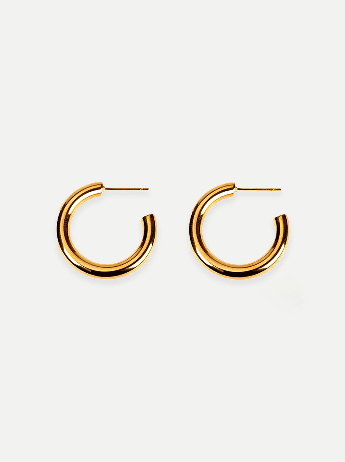 Gold/ Silver Hoop Earrings