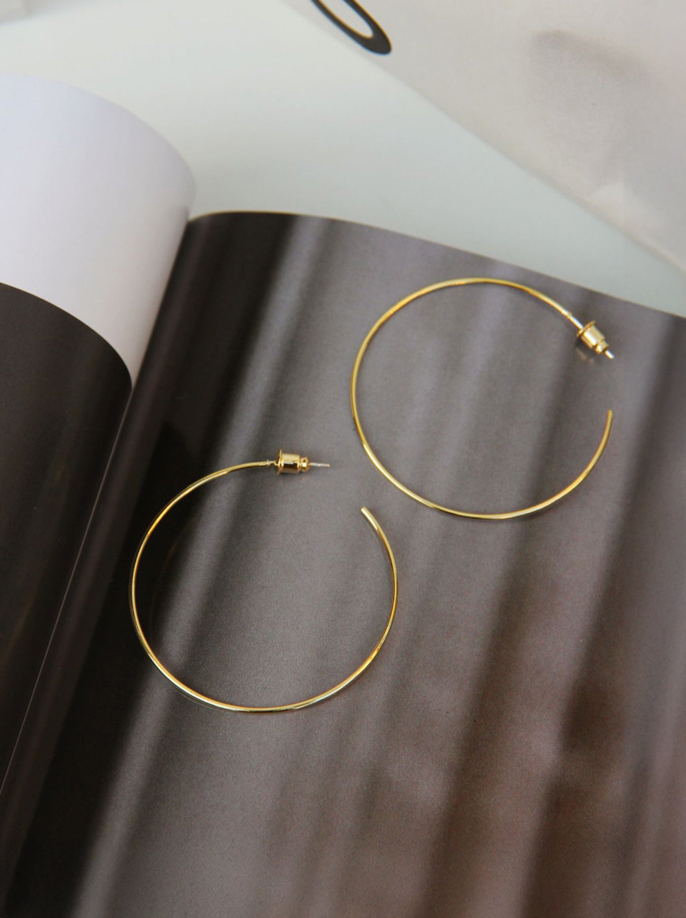 Gold/ Silver Hoop Earrings