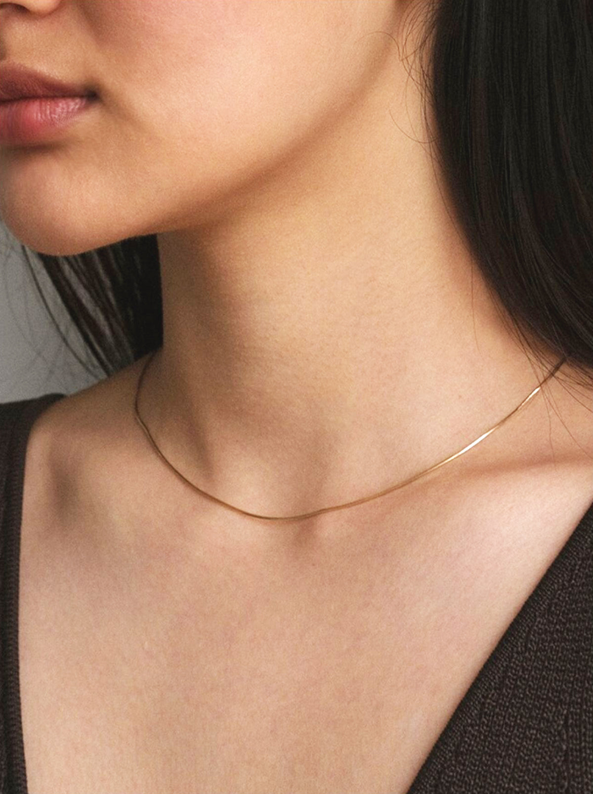 Gold Snake Chain Necklace